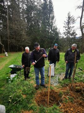 Obrezovanje sadovnjaka ob Prežihovi bajti (4)
